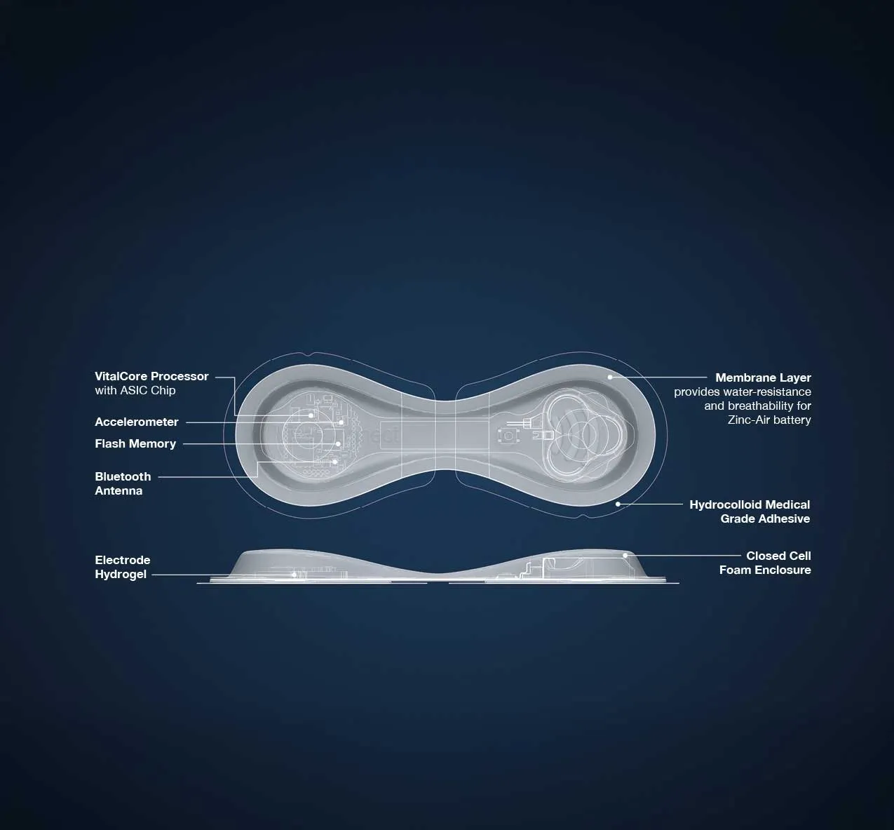 Wearable Vital Signs Sensor